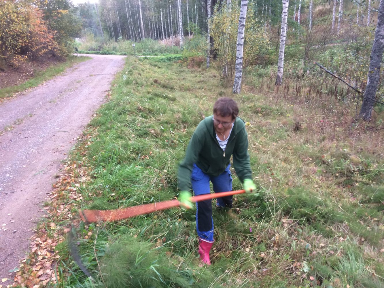 Nainen niittää viikatteella heinää.